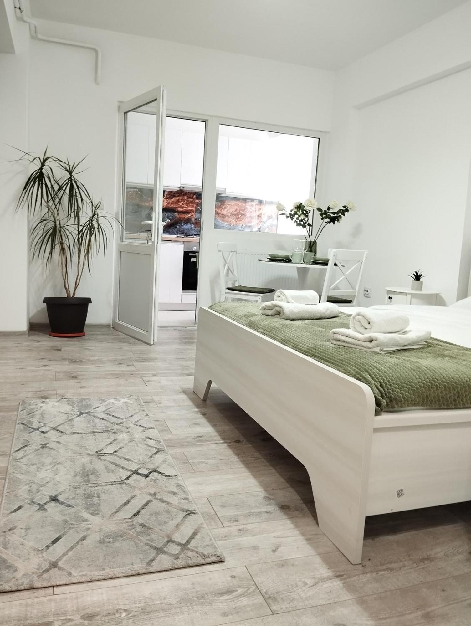 Amber Studio Craiova Extérieur photo